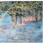  ?? FOTO: DPA ?? Waldbrände drohen jetzt auch in Duisburg.