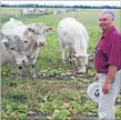  ?? Photo: FAIRFAX NZ ?? The best: Bruce Fisher with some prime charolais.