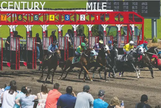  ?? PHOTOS: DAVID BLOOM ?? Organizers are expecting a crowd of 8,000 racing fans to turn out at the new Century Mile track for Sunday’s 90th running of the Canadian Derby.