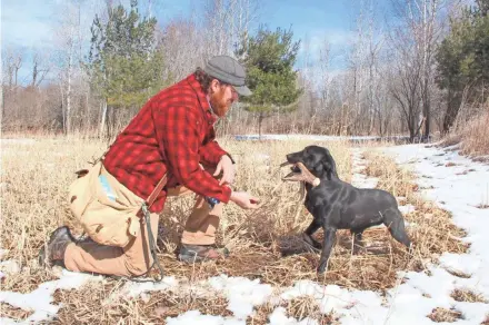  ?? SMITH PAUL A. ?? Jeremy Moore of Pulaski reaches for a shed deer antler brought to him by Ellie, his 2-year-old Labrador retriever.