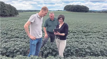  ??  ?? Kenneth Waring, Jim Wilson and Seonaid Ross, of SoilEssent­ials, conduct a field test on potatoes.