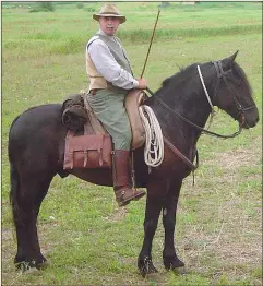  ??  ?? The Italian horse breeders’ associatio­n (AIA) recognizes the Tolfetano, pictured here, as one of 15 old and now rare breeds that survive in the hilly and mountainou­s country of northern Italy and on its offshore islands. They are consistent­ly described...