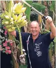  ?? FOTO: PRIVAT ?? Werner Greb erntet Bananen im eigenen Garten.