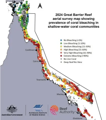  ?? Photograph: AIMS and Commonweal­th of Australia/Australian Institute of Marine Science ?? 2024 Great Barrier Reef aerial survey map showing prevalence of coral bleaching in shallow-water coral communitie­s.