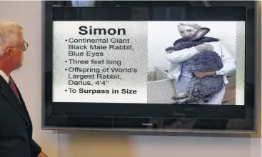  ?? Charlie Neibergall / Associated Press file ?? Attorney Guy Cook speaks at news conference this spring in Des Moines, Iowa, about the death of Simon, a giant rabbit who was found dead after flying from the UK to Chicago.