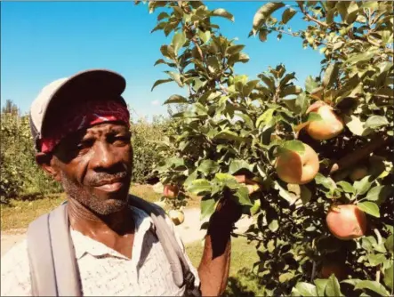  ?? SARATOGIAN FILE PHOTO ?? Agricultur­e supports more than 200,000jobs across New York state.