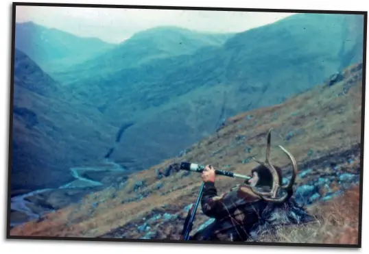  ??  ?? Above: Lea MacNally spent hundreds of hours annually stalking red deer with only a stick, telescope, camera and notebook.