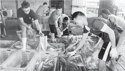  ??  ?? PENUH: Perintah nyendiaka loji ais pemesai muat 300 tan di Tanjung Manis endur naruh ikan ari kapal berikan tasik dalam.