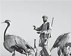  ?? — Reuters photo ?? Jan Agha feeds his cranes at a field in Bagram, Parwan province, Afghanista­n.