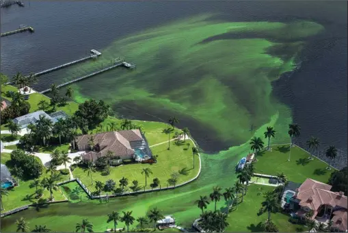  ?? The Associated Press ?? ST. LUCIE RIVER: This June 29, 2016, aerial photo shows blue-green algae in an area along the St. Lucie River in Stuart, Fla. In 2016, Florida’s governor declared a state of emergency and beaches were closed when algae blooms spread from Lake...