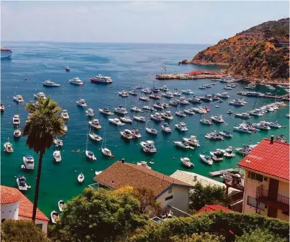  ?? Doug Hansen photos / San Diego Union-Tribune/TNS ?? y jump into the water. Catalina Island can be reached by 22-mile ferry trip or via a commercial helicopter.