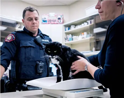  ??  ?? Forensic veterinari­an Margaret Doyle (right) works with Const. Dennis Smithson as part of a unit that investigat­es the abuse of animals