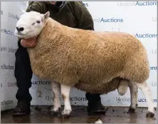  ?? Ref:RH03102230­1 ?? BADANLOCH’S THREE-SHEAR ram made £9000