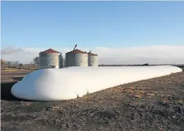  ??  ?? A la bolsa. La Afip pretende saber dónde están los silos de cada productor.