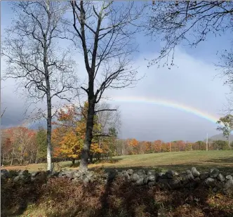  ?? COURTESY OF BONNIE J. TOOMEY ?? Somewhere under the rainbow there’s light and movement, which can be used to help fight off seasonal affective disorder,