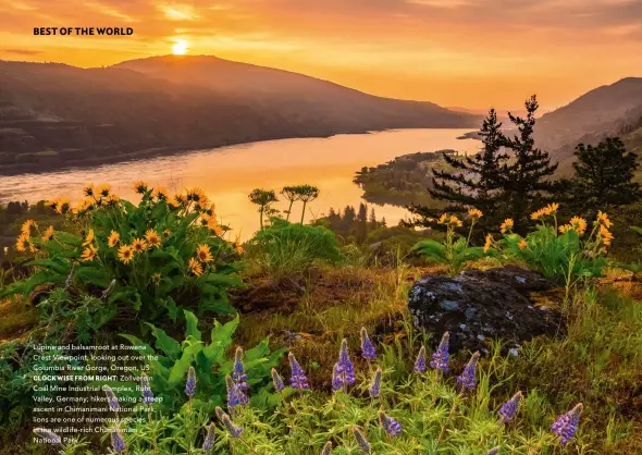  ?? ?? Lupine and balsamroot at Rowena Crest Viewpoint, looking out over the Columbia River Gorge, Oregon, US
CLOCKWISE FROM RIGHT: Zollverein Coal Mine Industrial Complex, Ruhr Valley, Germany; hikers making a steep ascent in Chimaniman­i National Park; lions are one of numerous species in the wildlife-rich Chimaniman­i National Park