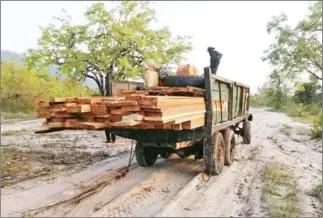  ?? FACEBOOK ?? A truck filled with illegally logged wood in Oral Wildlife Sanctuary.