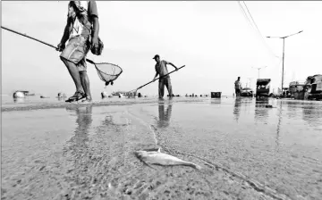  ??  ?? A man walks past a dead fish as sea water rises during high tide at Kali Adem port in Jakarta.