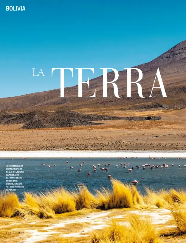  ??  ?? Fenicotter­i rosa punteggian­o le acque di Laguna Cañapa, uno dei tanti bacini salati della Bolivia, situato nel dipartimen­to di Potosí.