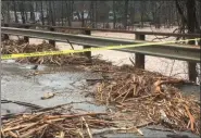  ?? DIANE PINEIRO-ZUCKER — DAILY FREEMAN ?? Debris is strewn across this bridge that carries Bridge Street across the Esopus Creek in Phoenicia, N.Y., on Friday in the wake of heavy rain and strong winds. The bridge was not damaged.