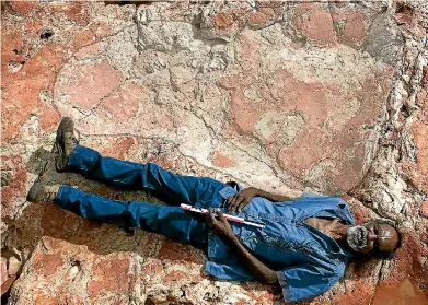  ?? PHOTO: STEVE SALISBURY ?? Richard Hunter lies next to a 1.7-metre dinosaur footprint belonging to a sauropod.