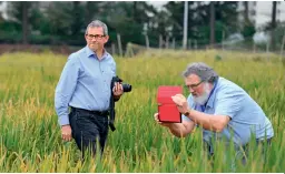  ??  ?? On October 18, 2018, two German journalist­s visit the hybrid rice test field to conduct an on-the-spot interview to understand the future developmen­t and status of hybrid rice.