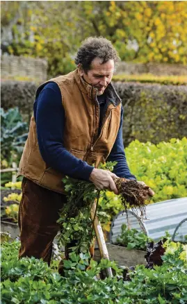  ?? ?? Lift celeriac carefully with a fork when ready to harvest