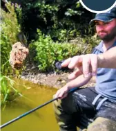  ??  ?? Feeding a nugget of groundbait after every fish will keep the shoal queuing up in your swim