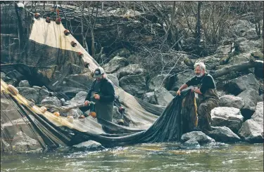  ?? Los Angeles Times/CAROLYN COLE ?? Fisherman John Loughran (right) pulls his eel nets out of the Royal River in southern Maine in early May to avoid an approachin­g storm that could damage the $1,500 nets.