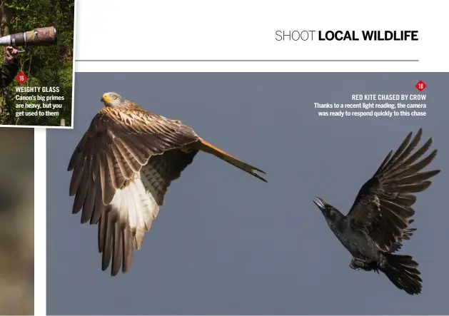  ??  ?? 16 WEIGHTY glass Canon’s big primes are heavy, but you get used to them 18 RED kite chased By crow Thanks to a recent light reading, the camera was ready to respond quickly to this chase