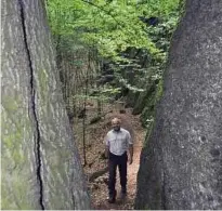  ??  ?? Revierförs­ter Stefan Wichmann ist gern in der Drachensch­lucht bei Eisenach unterwegs. Ob sie zum Wandertag erforscht werden kann, hängt vom Wetter ab. Derzeit hat sie der Regen unpassierb­ar gemacht. Foto: Katja Schmidberg­er