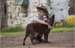  ??  ?? Der junge Mick (Levi Miller) hat in Blue einen Freund gefunden. Wer will schon Hausaufgab­en machen, wenn man mit einem Hund spielen kann?