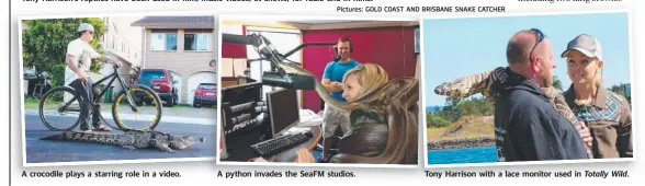  ??  ?? A crocodile plays a starring role in a video. A python invades the SeaFM studios. Tony Harrison with a lace monitor used in Totally Wild.