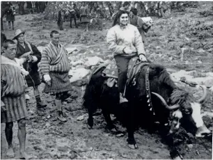  ??  ?? ON A YAK DURING A TRIP TO BHUTAN IN 1958