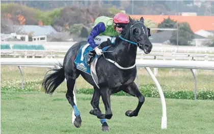  ?? Picture / Race Images ?? Johnathan Parkes rides Waldorf to an easy victory in the Wanganui Guineas yesterday.