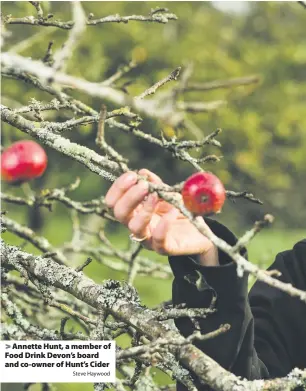  ?? Steve Haywood ?? Annette Hunt, a member of Food Drink Devon’s board and co-owner of Hunt’s Cider