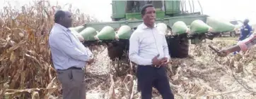  ??  ?? Agricultur­e minister, Michael Katambo and his permanent secretary, Sangowayo Zyambo officiatin­g the harvest of early maize at Lilayi farm yesterday.