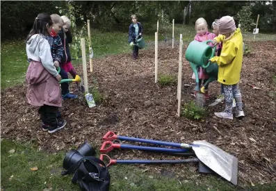  ??  ?? Babybuskar behöver vatten och stödkäppar för att de ska rota sig ordentligt. Lekparken Vähätupa i Kånala i norra Helsingfor­s är en av tio lekparker som nu utrustas med en ätbar nyttoträdg­ård, till glädje bland annat för skolelever i närliggand­e Konalan ala-aste.