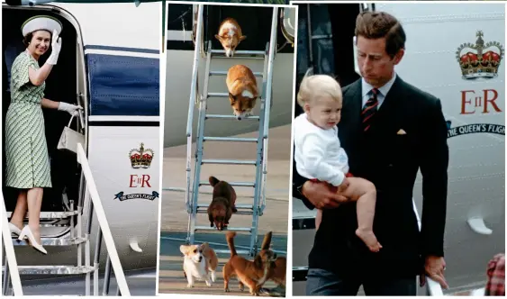  ?? ?? Island getaway: The Queen in Fiji in 1977 Dogs’ day out: Heathrow in 1998 Balmoral trip: Charles with William in Scotland in 1983