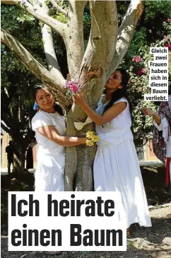  ??  ?? Gleich zwei Frauen haben sich in diesen Baum verliebt.