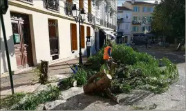  ?? Photo A.P.-B. ?? Les arbres du bas de la rue ont été abattus, ceux du haut élagués