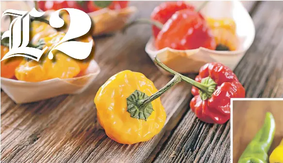 Cocina con historia Ají, el condimento por excelencia de los taínos ...