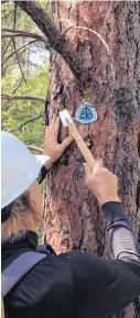  ??  ?? “Blaze the CDT” is a yearlong project to properly sign about 750 remaining miles of the Continenta­l Divide National Scenic Trail.