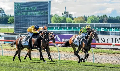  ?? JOHN KIRK-ANDERSON/FAIRFAX NZ ?? Michael Coleman storms to the line on Ugo Foscolo to win the New Zealand 2000 Guineas at Riccarton in Christchur­ch yesterday.