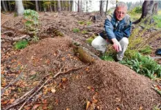  ?? Foto: Marcus Merk ?? Franz Bürger aus Nordendorf ist Bayerns oberster Ameisensch­ützer. Er nennt mehrere Gründe, warum das Volksbegeh­ren so wichtig sei.