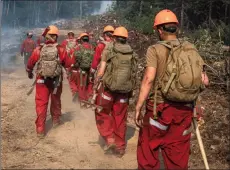  ?? CANADIAN ARMED FORCEs/Special to The Herald ?? Canadian soldiers on a fire line in B.C. as part of Operation Lentus.