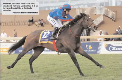  ?? Picture: ?? SALIMAH, with Sean Veale in the irons, wins the All To Come Maiden Plate (F & M) for trainer Dennis Drier at Scottsvill­e yesterday. Candiese Marnewick