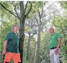  ?? FOTO: ERWIN POTTGIESSE­R ?? Helmut Rath (links) und Heinz-georg Oberender vom ASG im Glacis. Im Hintergrun­d einer der vertrockne­ten Bäume.