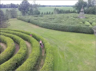  ?? ANDY RIGA THE GAZETTE ?? Visitors wander through the Spiral Maze (foreground), while the Mile Maze is seen at rear. They are among 10 mazes designed to puzzle visitors to Saunders Farm in Munster, Ont., southwest of Ottawa.