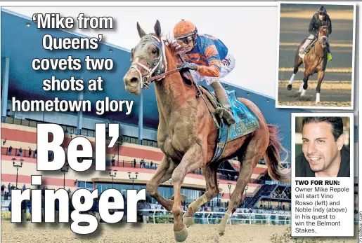  ??  ?? TWO FOR RUN: Owner Mike Repole will star t Vino Rosso (left) and Noble Indy (above) in his quest to win the Belmont Stakes.